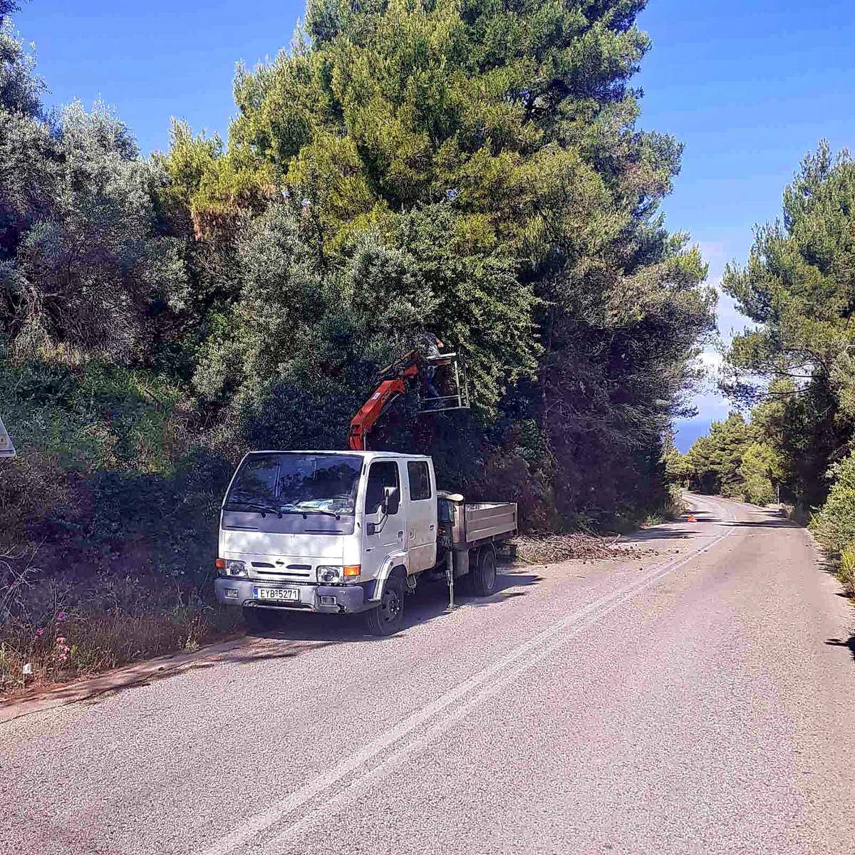 2021.06.16 @ Κοπή επικίνδυνων κλαδιών δένδρων στο Ε.Ο.Δ. από συνεργείο της Π.Ε. Λευκάδας. #ΠΙΝ #Λευκάδα #ΟδικήΑσφάλεια #ΟδικόΔίκτυο #Καθαρισμός #antipin_lefkada #ΠεριφερειακήΕνότηταΛευκάδας #ΠεριφέρειαΙονίωνΝήσων